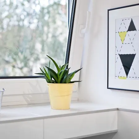 Old Town シュチェチン